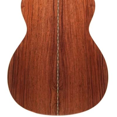 Goodall Traditional OM Palo Escrito Master German Spruce 2023 image 4