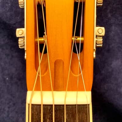 National Reso-Phonic Weathered Steel Style O 12 Fret 2023 Etched Palm Tree Scene image 5