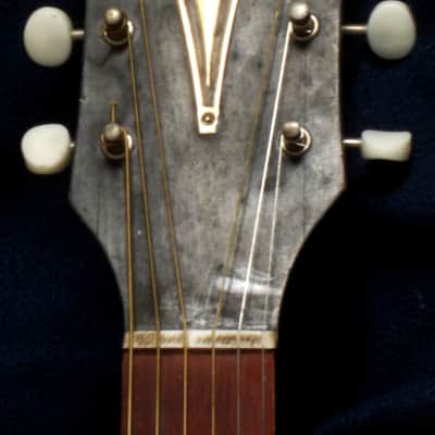 Kay Grand concert "ROUNDED" 1960's image 8