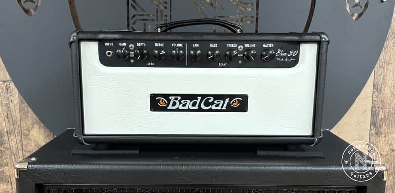 Bad Cat Era 30 2025 Ebony w/ Cream Front Panel image 1