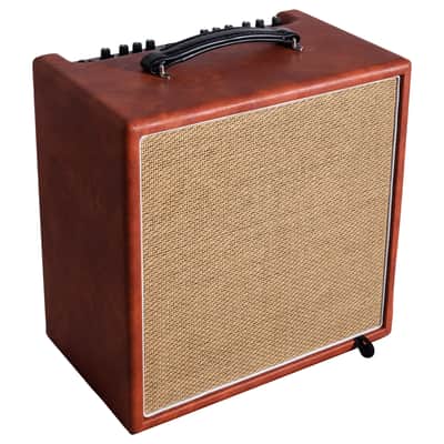Recording King AR-A60 Songwriter 60 Amplifier Accoustic & Voice Amp image 1