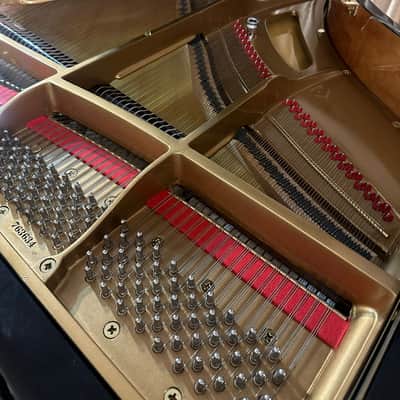 Sherwood G185 Grand Piano – 6', High-Quality New Instrument image 7