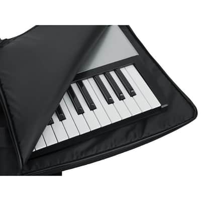 Mint Gator Cases GKBE-49 Economy Gig Bag for 49-Key Keyboards image 6