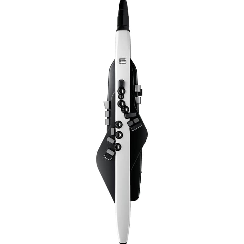 Roland AE-20 Aerophone Digital Wind Instrument image 1