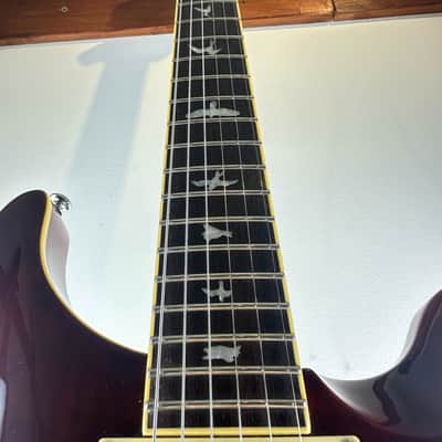 PRS SE Custom 22 Semi-Hollow Tortoise Shell 2019 Europe Exclusive LTD with bag image 7