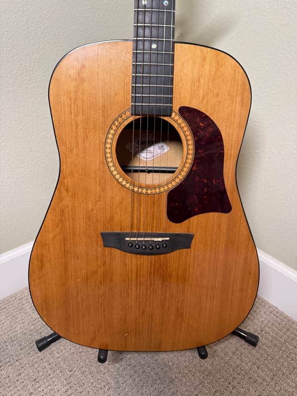 Garrison G25 Dreadnought Acoustic Guitar with extras image 1