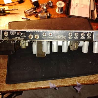 1973 Fender Dual Showman Reverb image 22