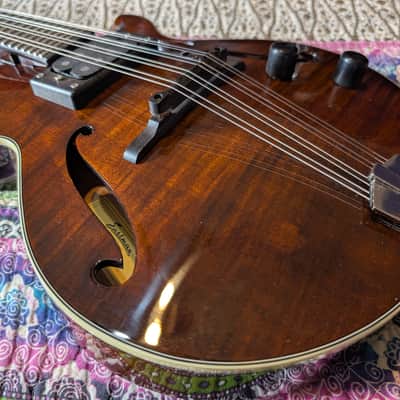 Eastman El Ray Electric Mandolin 2020s - Brown image 2