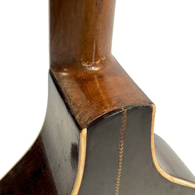 Flat-Back Mandolin Model Luxe Bruno Klemm 1890's / 1900's image 10