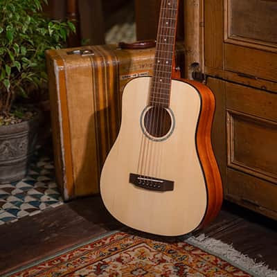 Cort Standard AD Mini Acoustic Guitar *USA Small Business* image 2