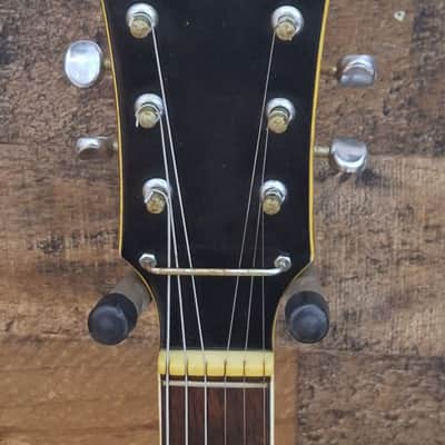 1968 TeleStar MIJ Barney Kessel Professional W/ Tremolo *Teisco Kawai Fujigen* image 7