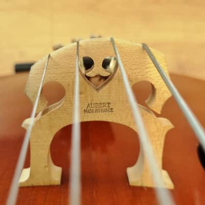 Cello Josef Jan Dvorak (Czechoslovakia, mid-80s) with a Chellococoon case image 5