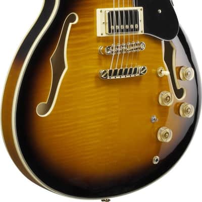 Ibanez JSM10-VYS John Scofield Signature Hollow Body Guitar 6-String - Vintage Yellow Sunburst + Case MS100C image 8