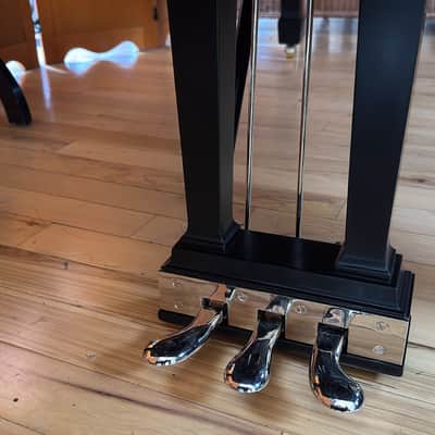 Steinway&Sons B 1896 - Ebony Satin image 9