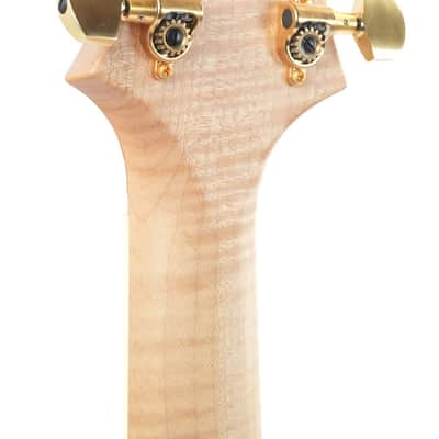 PRS Wood Library McCarty 594 Artist Package 2017 image 6