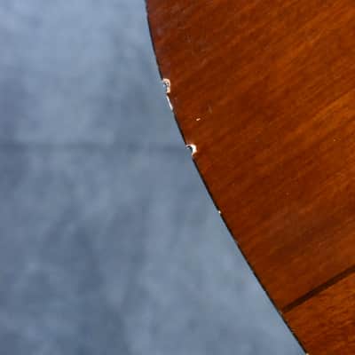 Aria AW-70 Vintage 1980s Square Shouldered Mahogany Korean Made Acoustic Guitar image 12