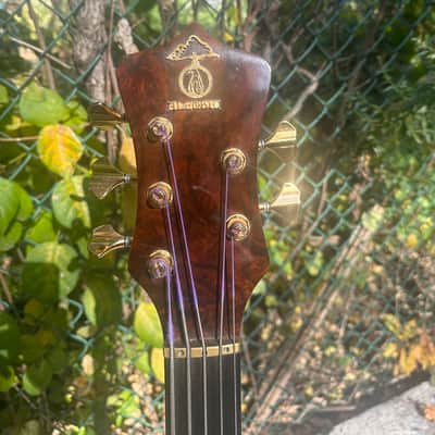 Custom Alembic Fretless 5 String Omega Heart w/LEDs image 4