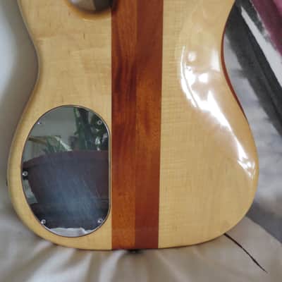 Alembic Employee Neck Through Shopnight Strat image 5