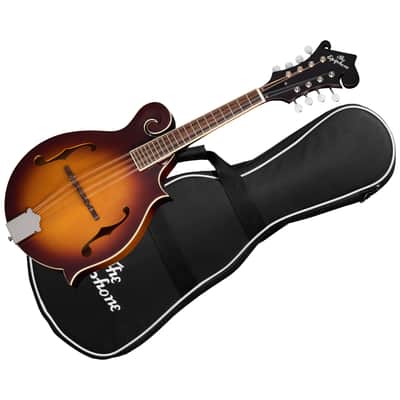 F-5 Studio Vintage Sunburst Satin + Housse Epiphone image 7