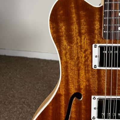 Catalyst Ember Semi-Hollow Electric Guitar - Sapele - Relic Gloss Nitro image 10