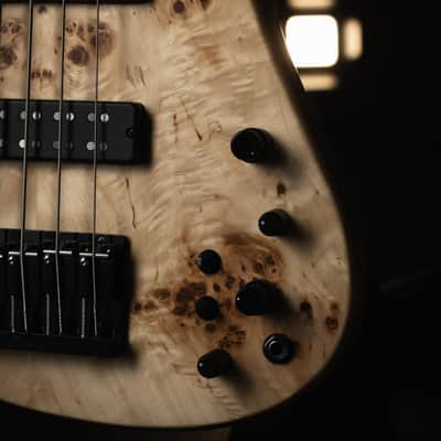 Fodera Emperor 5 Standard Special Poplar Burl 2023 image 7