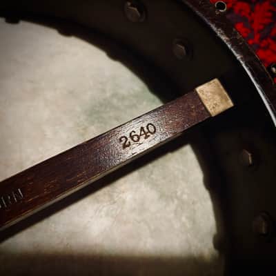 Rare 1920s Washburn Tenor Banjo Style E image 18