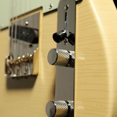 TLV-MASTER 10th Anniversary-2 pcs swamp ash(Roasted maple Neck+Rosewood Fingerboard) image 4