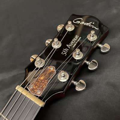 Godin 5th Avenue Uptown Custom Havana Burst image 4