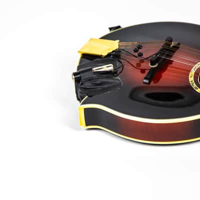 Michael Kelly F Style Mandolin Owned by Matt Freeman Of Rancid image 13