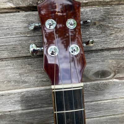 Lichty Custom 19" scale Tenor Ukulele 2022 image 7