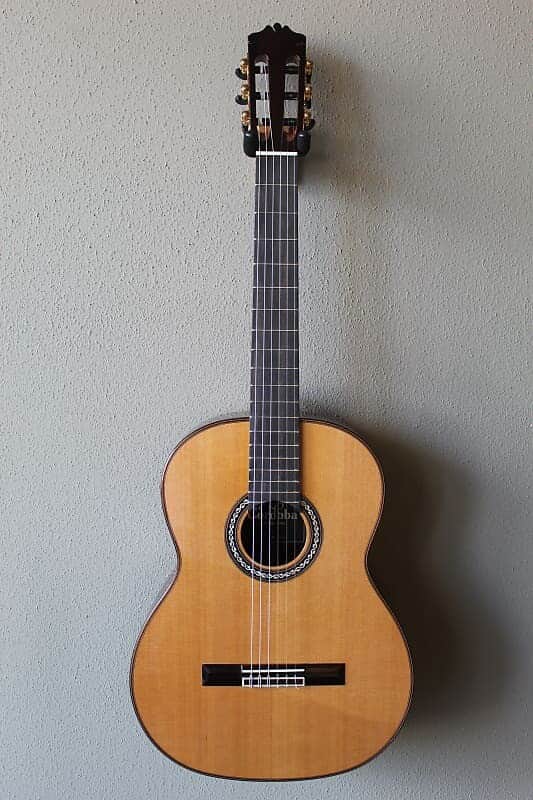 Brand New Cordoba C10 Cedar Top Classical Guitar image 1
