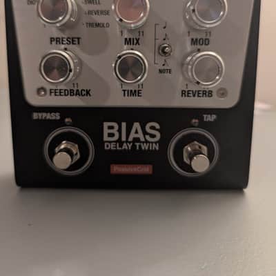 Positive Grid Bias Delay Twin 2010s - SIlver image 1