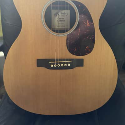 Martin X1-000E X Series Custom Mahogany HPL Auditorium with Electronics 2016 - Natural image 2