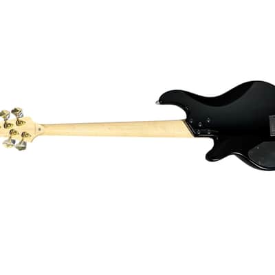 Lakland Skyline 55-02 Custom, Spalt Violet Burst / Maple 9.4 LBS *IN STOCK* image 7