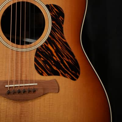 Taylor Gold Label 717e 2025 Sunburst with Firestripe Pickguard image 4