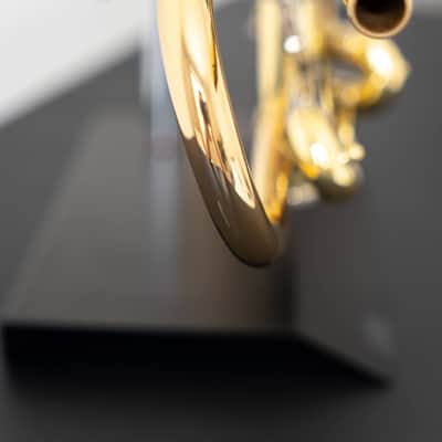 Yamaha YTR-8335IIG Xeno Bb Trumpet with Gold Brass Bell (SN 5731xx) image 22