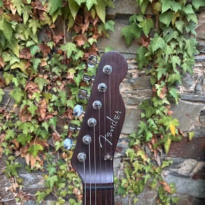 Fender TL-69 Rosewood Telecaster MIJ 1983 - 2015 - All Rose image 4