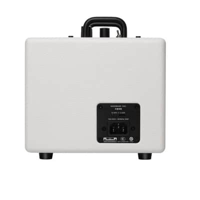 Extremely Portable! Phil Jones X4-C Nanobass Combo Amp White Single channel 35 Watt Multi Instrument Combo Amp, Only 5.3 lbs., Can be powered by Powerbank image 5