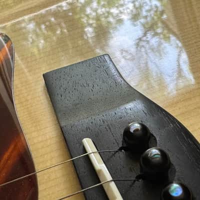 Eastman E10D Extravagant Figured Mahogany Back Red Spruce Top 2017 +/- Exceptional Tone - Natural image 21