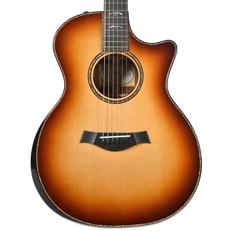 Taylor 914ce Fall LTD Sitka Spruce / Cocobolo image 2
