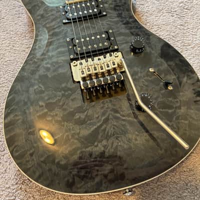 PRS SE Floyd Custom 24 image 3