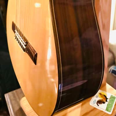 Shelton-Farretta Concert Classical Guitar 2011 - Natural image 5