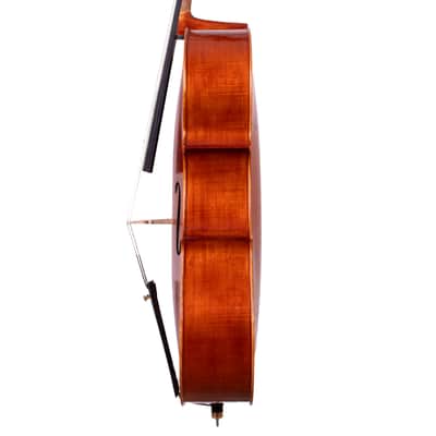 Goffriller Cello 4/4 from One Piece Back - Hand-Made in Romania 2025 #99 image 7