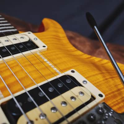 PRS Santana II Brazilian Rosewood 2006 image 3