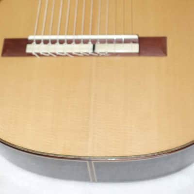 LUCIO NÚÑEZ Sophia 13-String Classical Harp Guitar, Spruce/Ziricote, w/Custom Case, Extremely Rare!! image 13