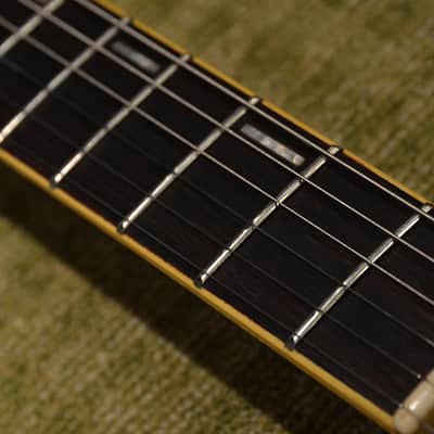Fenix Young Chang TM Tele - Archtop with Schaller Piezo Bridge image 14