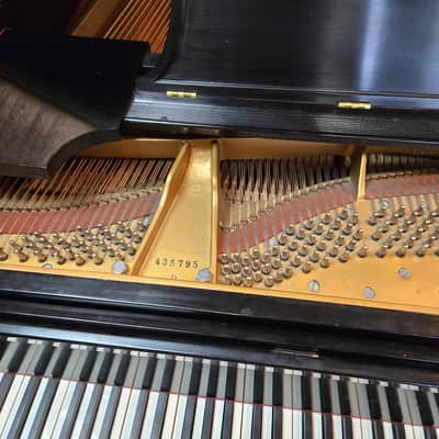 Steinway & Sons 9ft Model D 1974 - Satin Ebony image 11
