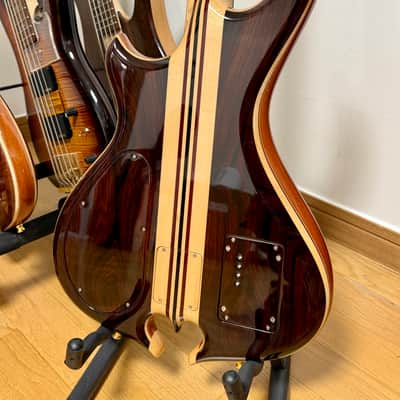 Alembic Series II LSB (2016) image 4