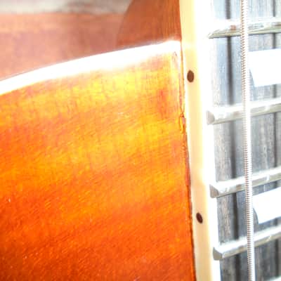 Eastman SB56/TV-AMB B stock in a very good condition image 4