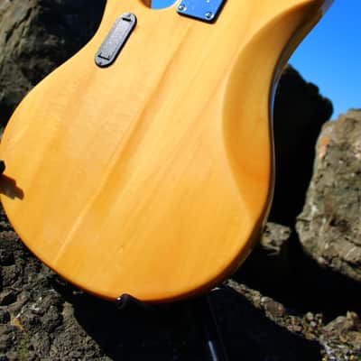 OLP Tony Levin Signature 5-String Bass  Flamed Natural image 10